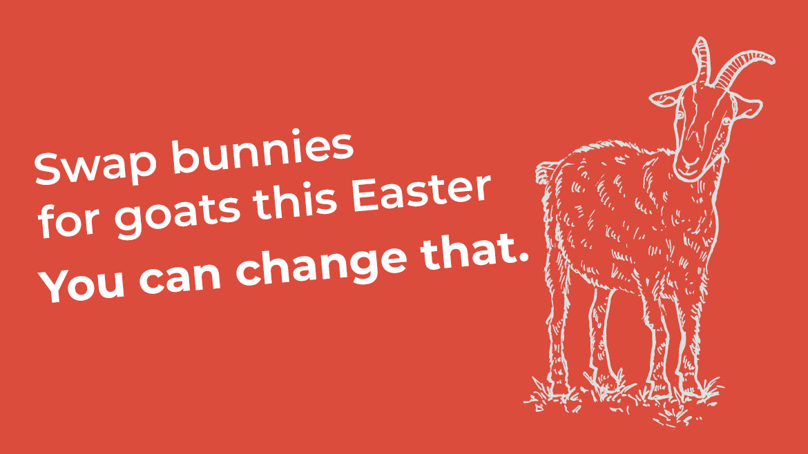 Swap bunnies for goats this Easter.